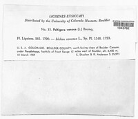 Image Associated With the Occurence